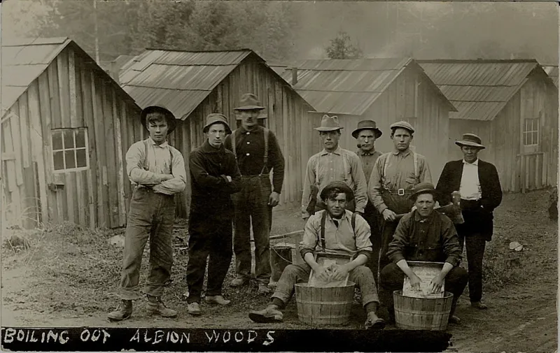 Logging Camp 2